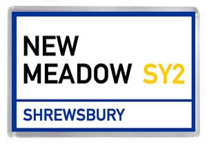 Shrewsbury Town 004 - New Meadow