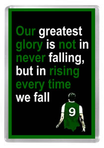 Hibs 028