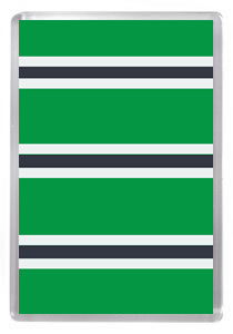 Hibs 029