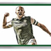 Hibs 036 - 2016 Scottish Cup Final