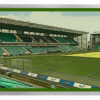 Hibs 049 - Easter Road Art